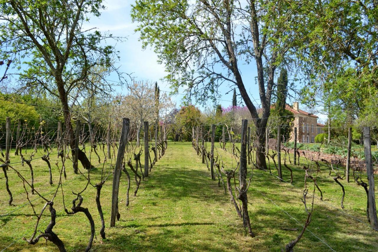 Chambre D'Hote Au Domaine Terre De Chenes Saint-Paul-de-Baise Екстериор снимка